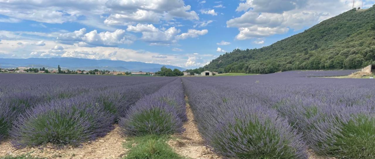 Gite La Maison Dans L'Olivette أوريزون المظهر الخارجي الصورة